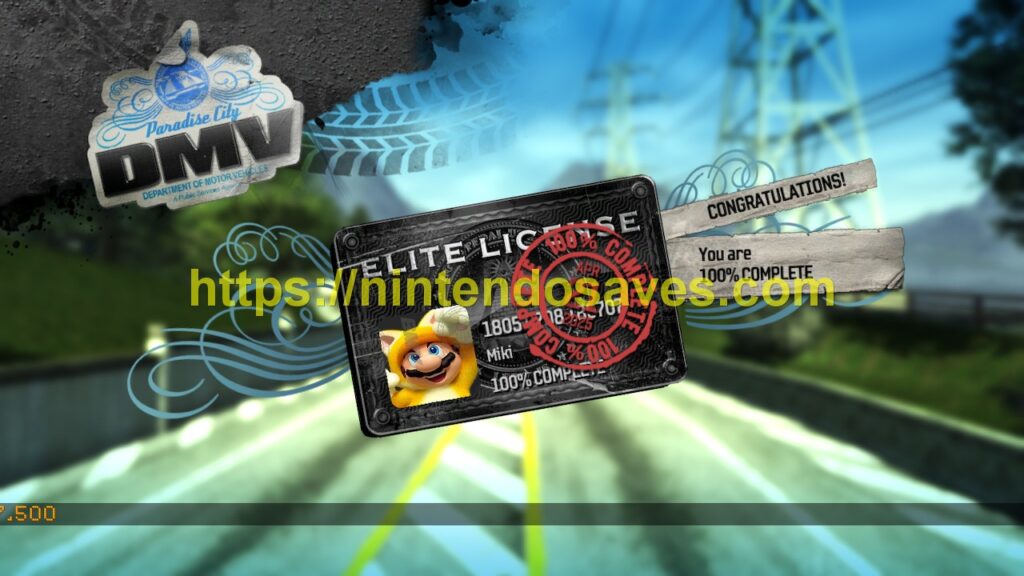 Image gallery image