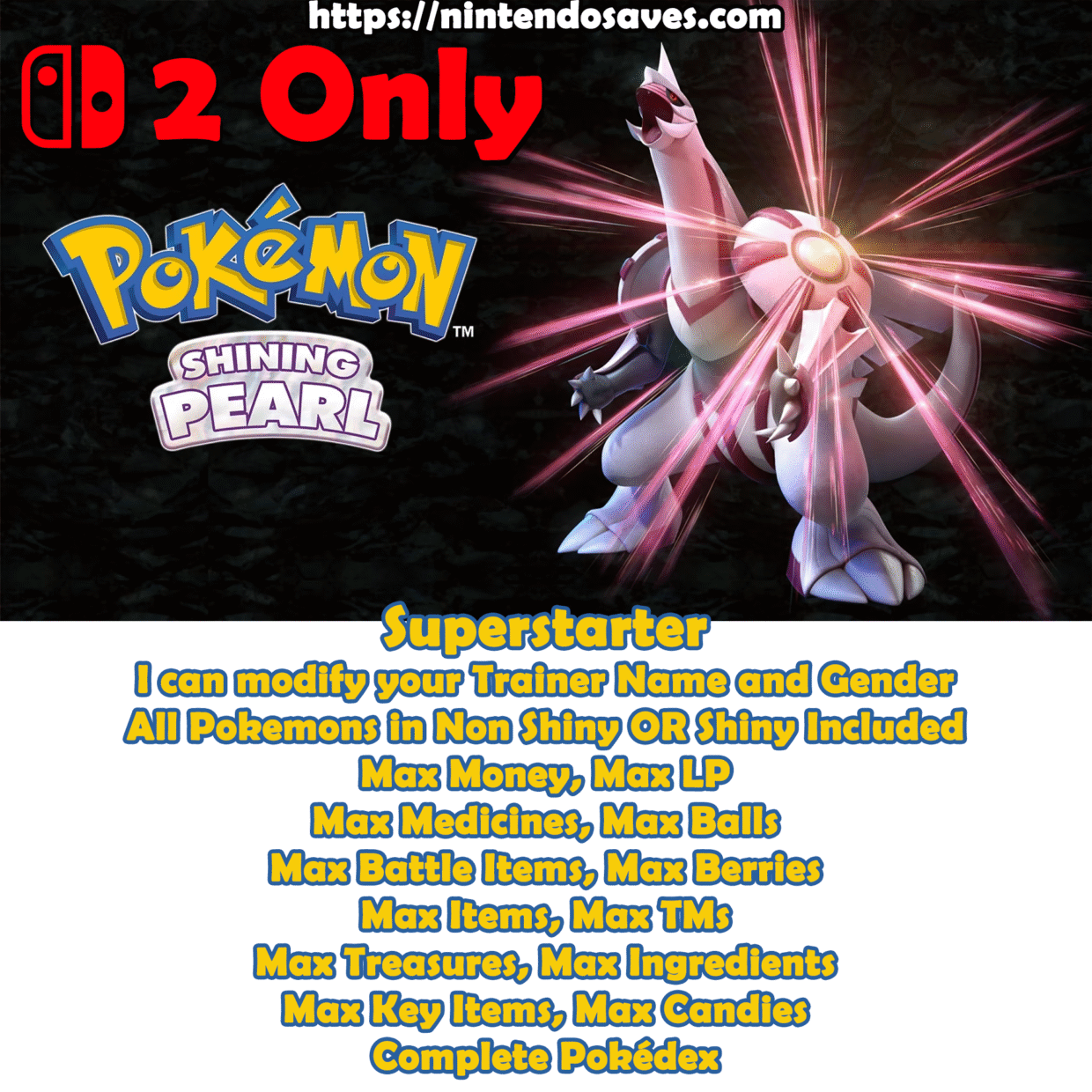Pokemon Brilliant Diamond Nintendo Switch 2 Cheats Hack Mod All Save 100