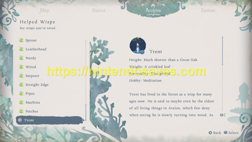 Image gallery image