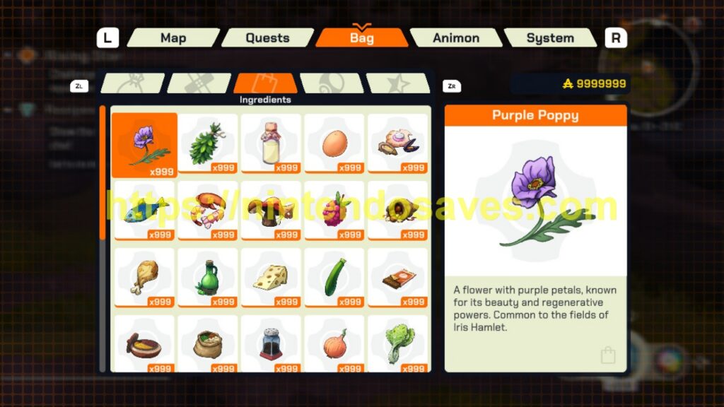 Image gallery image